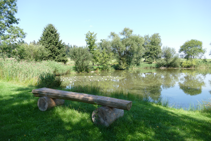 Bank am Fischweiher in Aichhalden