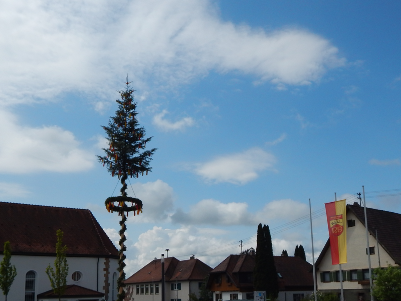 Der Maibaum steht auf dem Dorfplatz