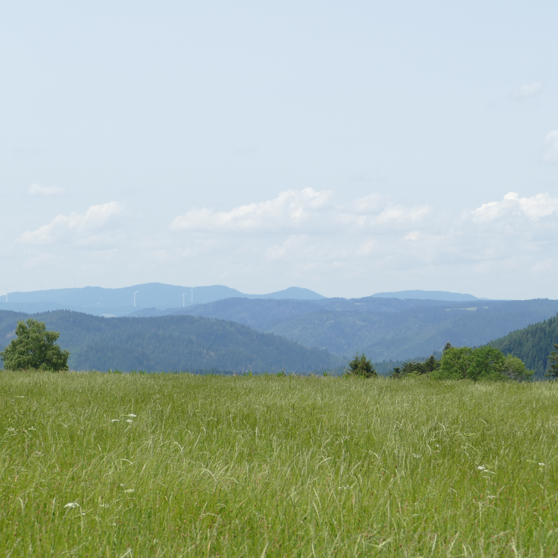 Aussicht Sonnenweg