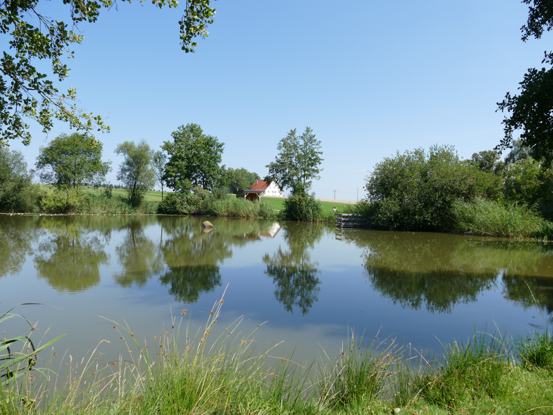 Fischweiher in Aichhalden